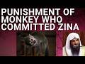 PUNISHMENT of MONKEY WHO COMMITTED ZINA - Sheikh Abdur Razzaq al Badr حفظه الله