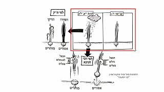 דף יומי מסכת נדרים דף נח  Daf yomi Nedarim page 58  ע\