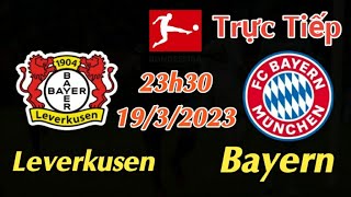 Soi kèo trực tiếp Leverkusen vs Bayern - 23h30 Ngày 19/3/2023 - vòng 25 Bundesliga
