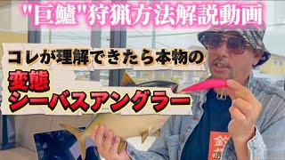 超上級者向けハウツー【巨大シーバス・巨大魚】コレ見たら釣れる