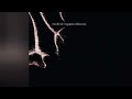 SEEFEEL - Squared Roots (full E.P.) - 2024