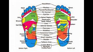 Foot Reflexology: Science-Backed Benefits with Reflexologist Eliza