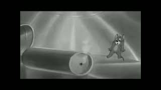 333.333.333 TOM KILLS JERRY