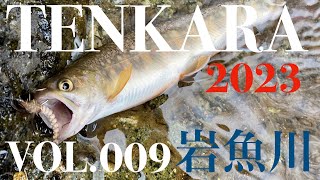 HIDA TENKARA FLY FISHING 飛騨テンカラ 2023　Vol.009 岩魚川