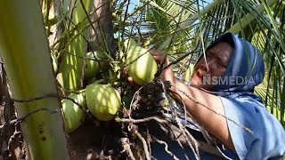 [FULL] MASAKAN NIKMAT ALA EMAK ENAH | ENAH BIKIN ENAK (19/09/24)