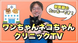 ワンちゃんネコちゃんクリニックTV始まるよ〜！【獣医師】