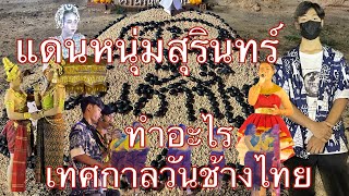 หนุ่มสุรินทร์ เที่ยวงานวันช้างไทย และทำอะไรบ้าง#สุรินทร์