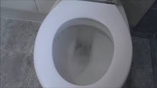 10 Hours of Flushing a Toilet