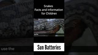 Sun Batteries - Snakes Facts & Information for Kids #snake #snakes #facts #kids #snakerescue