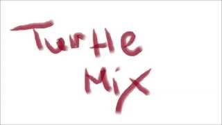 "Who You Love"-John Mayer ft. Katy Perry (TurtleMix Mix)