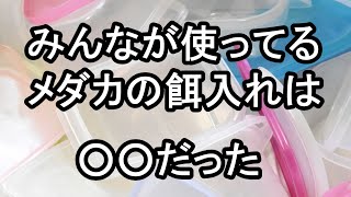 【メダカ 飼育】みんなはコレを使ってる！メダカの餌を入れる容器 滋賀県のメダカ販売店 めだか藁屋 高木正臣