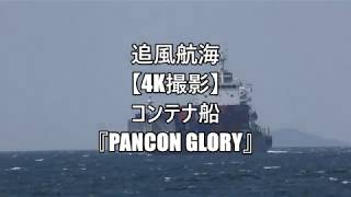 追風航海【4K撮影】コンテナ船『PANCON GLORY』