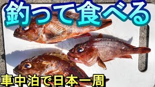 【釣り食べ】浜田漁港（熊本県天草市）カサゴ釣って食べる！