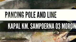 Pancing Pole And Line di perairan Teluk Tolo Kabupaten Morowali