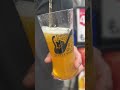 父の日限定ビール！ウィンザーノットブリュットipa【新発売】