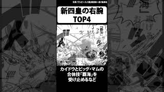 格差が激しすぎる新四皇の右腕「No.2」TOP4【ワンピース】 #Shorts