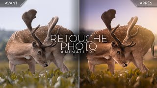 RETOUCHE PHOTO ANIMALIÈRE - Le rendu onirique (Daim)