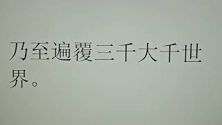 2024年8月25日。阿彌陀佛發四十八個願。希望。我們發一個願