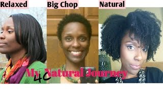 One Year Natural Hair Journey Length Check Pics