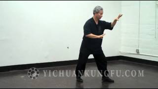 Yi Chuan Postures