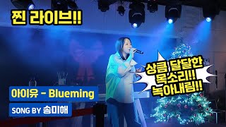 아이유 - 블루밍 (Song by 송미해) | 라이브 클럽 |  | 삐빳빠룰라 | 대구 여행 데이트 코스 | 커버 | Cover | 라이브 | 발라드