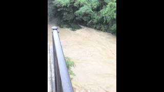 2014年8月10日　台風11号　安威川上流