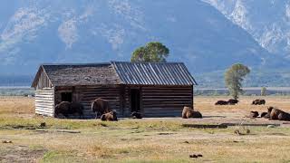 ケリー 峠の我が家 / Kelley Home on the Range