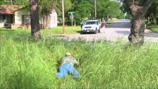Code Violation PSA - Tall Grass (Spanish)