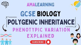 GCSE Biology - Polygenic Inheritance & Phenotypic Variation Explained