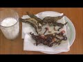 start eating insects on gasa i tried scooping up and deep frying a zazamushi and a swamp bug an...