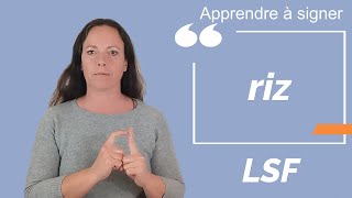 Signer RIZ en LSF (langue des signes française). Apprendre la LSF par configuration