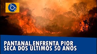 Pantanal enfrenta pior seca dos ultimos 50 anos