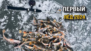 ПЕРВЫЙ ЛЁД 2024-25!!ТОЛЬКО опустил и ПОНЕСЛАСЬ!!БЕШЕННЫЙ КЛЕВ ОКУНЯ КАК ИЗ ПУЛЕМЕТА!!!КРУПНЫЙ СУДАК!