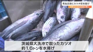 「今年は戻りカツオに期待できるのでは」気仙沼港にカツオ初水揚げ　去年より20日早く