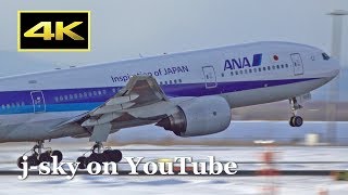 [4K] 2019 Winter Plane Spotting at New Chitose Airport / 新千歳空港 JAL 日本航空 ANA 全日空