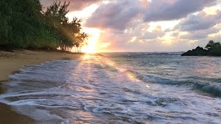 Hawaii Ocean Waves White Noise | Sleep, Study, Insomnia Relief | Beach Sounds 10
