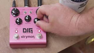 Strymon - the Dig - Presented by Salvage Custom and 60 Cycle Hum