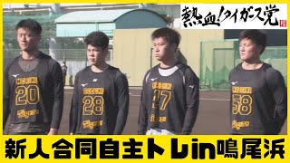 鳴尾浜球場で阪神タイガースの新人合同自主トレ #熱血タイガース党