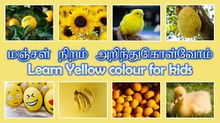 மஞ்சள் நிறம் அறிந்து கொள்வோம்/ Learn yellow color for kids