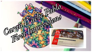 Caran D'ache Pablo First Impressions and Review - Tried in Two Different Types of Coloring Books