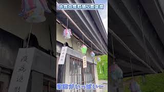 【小樽】風鈴カランコロン #shorts #asmr #堺町通り商店街 #北海道