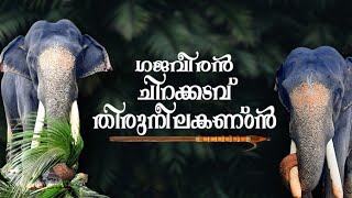 ചിറക്കടവ് തിരുനീലകണ്ഠൻ / Intro Video / Chirakkadavu ThiruNeelakandan