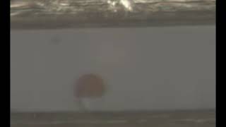 Janus Particles - Cospheric Microspheres (Bichromal and Bipolar) Rotating in Electric Field
