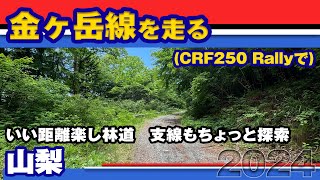 【ツーリング】CRF250Rallyで金ヶ岳線 2024【林道】