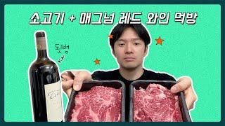 먹방) 소고기 \u0026 2011년 빈티지 대용량 매그넘 와인 (까베르네 소비뇽 + 쉬라) / 와인 추천