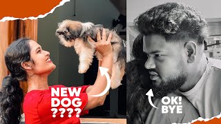 New DOG വാങ്ങിച്ചാലൊ ? 😍 Dani Chettan തിരിച്ചു പോയി 🥹