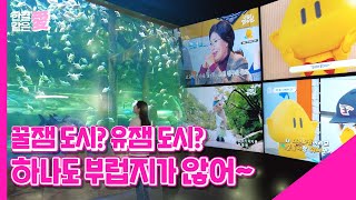 한결같은 愛 EP.3｜대한민국의 중심에서 대전을 외치다