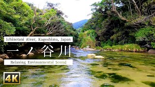 【4K】川のせせらぎ 鹿児島県 肝付町 一ノ谷川 3時間 リラックス Relaxing sound \u0026 image of Ichinotani River, Kagoshima, Japan 3hr