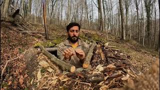 Building a Shelter in a Tree Trunk with My Dog – Solo Survival in the Wilderness