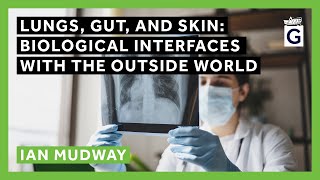Lungs, Gut, and Skin: Biological Interfaces with the Outside World